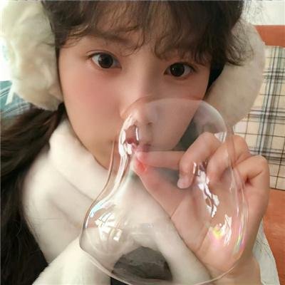 新鲁冰花